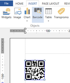 insert_barcode_static2